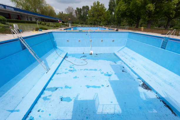 Best Flood restoration services  in Morton Grove, IL