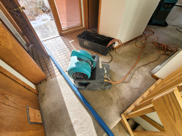 Best Residential water damage restoration  in Morton Grove, IL