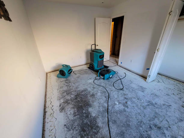 Best Emergency water damage restoration  in Morton Grove, IL
