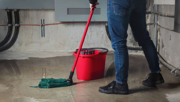Best Water damage restoration near me  in Morton Grove, IL