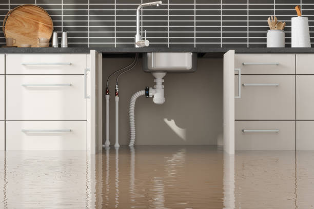 Best Water damage restoration experts  in Morton Grove, IL