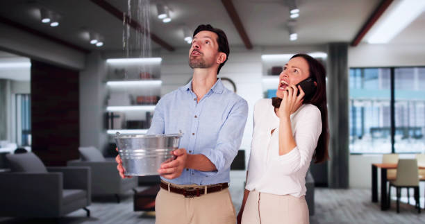 Best Commercial water damage restoration  in Morton Grove, IL